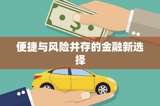红原便捷与风险并存的金融新选择