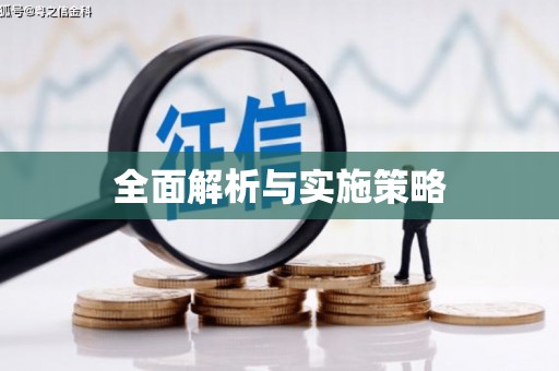 红原全面解析与实施策略