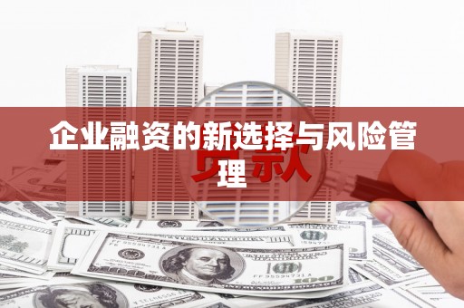 红原企业融资的新选择与风险管理