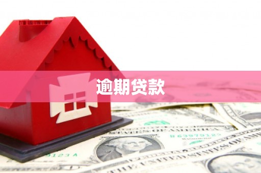 红原逾期贷款