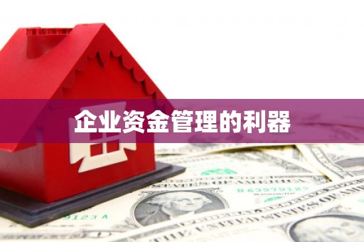 红原企业资金管理的利器