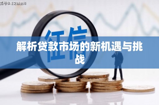 红原解析贷款市场的新机遇与挑战