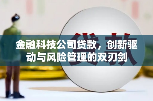 红原金融科技公司贷款，创新驱动与风险管理的双刃剑